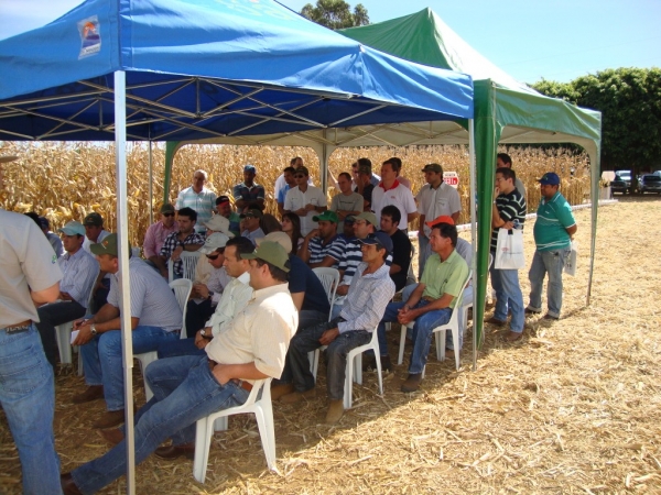   Dia de Campo: Híbridos Pioneer para Safrinha