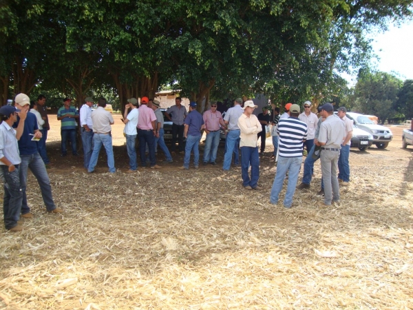   Dia de Campo: Híbridos Pioneer para Safrinha