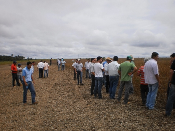  Dia de Campo - Faz. Bom Jesus - Agropecuária JR