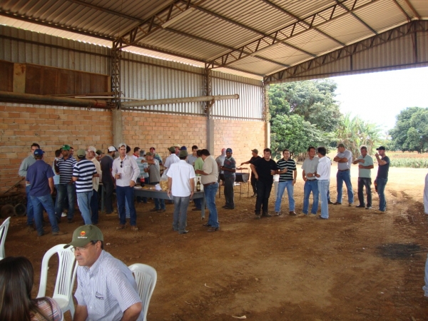   Dia de Campo: Híbridos Pioneer para Safrinha