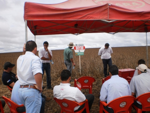  Dia de Campo - Faz. Bom Jesus - Agropecuária JR